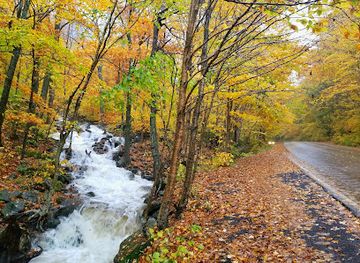 vermont/smugglers-notch-state-park/landmark/smugglers-notch-state-park-campground