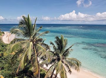 puerto-rico/culebra-island/landmark/culebra-beach-flamenco