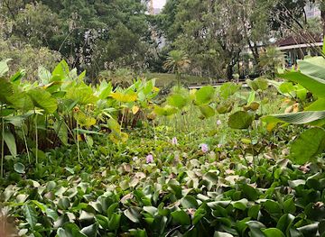 singapore/novena/landmark/turtle-spot