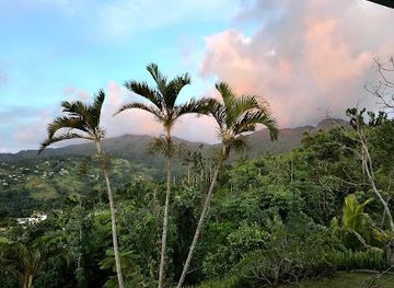 puerto-rico/el-yunque-national-forest/landmark/elemental-eco-retreat