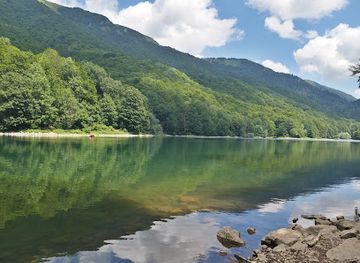 montenegro/lim-river-valley/landmark/biogradska-gora-national-park