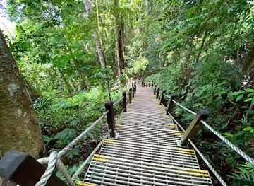 singapore/macritchie-reservoir/landmark/bukit-timah-nature-reserve