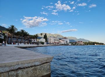 montenegro/tivat/landmark/pine
