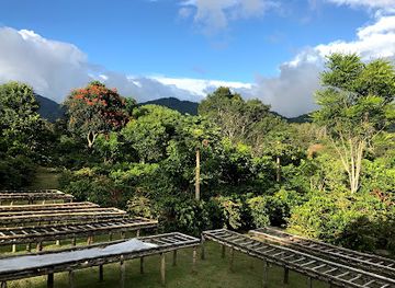 panama/boquete/landmark/finca-dos-jefes