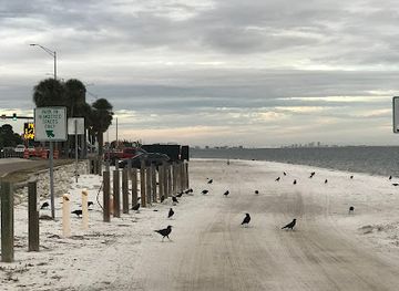 florida/clearwater-beach/landmark/welcome-to-clearwater-monument