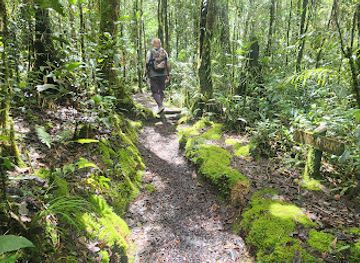 malaysia/kinabalu-national-park/landmark/silau-silau-trail