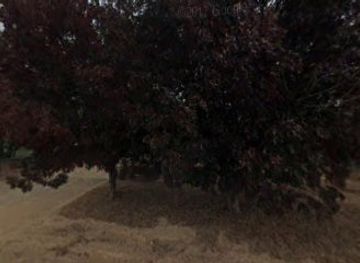 australia/mallee/landmark/mallee-tours