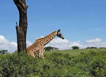 Crescent Island Game Sanctuary