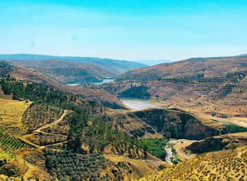 jordan/southern-jordan-valley/landmark/archaeological-site-of-jerash