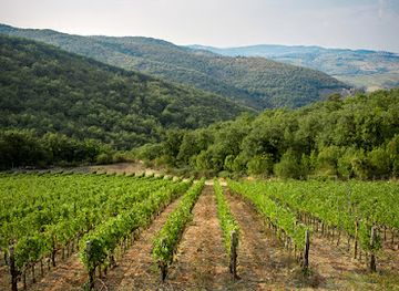 italy/chianti-classico/landmark/istine