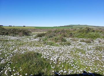 south-africa/west-coast-national-park/landmark/waylands-wild-flower-reserve