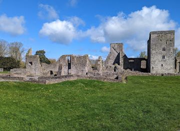 ireland/county-kilkenny/landmark/kells-priory