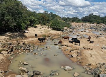 zimbabwe/matabeleland-north/landmark/shangani
