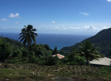 dominica/purple-turtle-beach/landmark/morne-trois-pitons-national-park