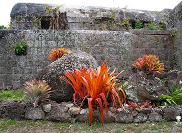 saint-kitts-and-nevis/botanical-gardens-of-nevis/landmark/nevis-heritage-village
