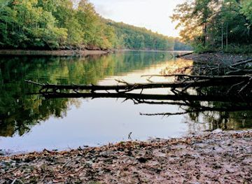 alabama/alabama-coastal-birding-trail/landmark/tuskegee-national-forest