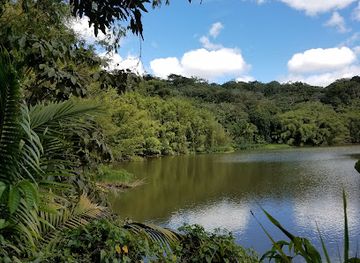 puerto-rico/puerto-rican-cordillera/landmark/puente-de-hamaca-del-lago-garzas