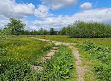 netherlands/veluwe-national-park/landmark/beekbergerwoud