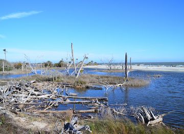 south-carolina/sea-islands/landmark/bull-island