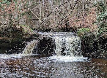 united-kingdom/midlothian/attraction/gore-glen-woodland-park-2