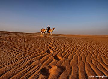 oman/wahiba-sands/landmark/bediyah-safari-camel-safari-start-point