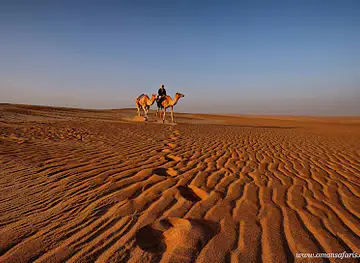 Bediyah Safari Camel Safari Start Point
