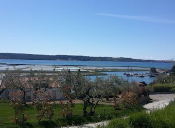 slovenia/posavje/landmark/fonda-fish-farm