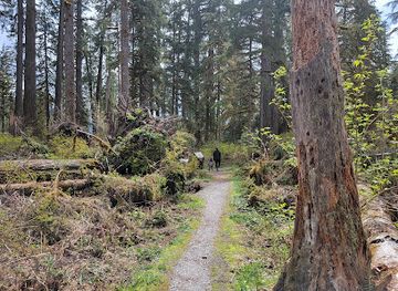 washington/mount-baker-snoqualmie-national-forest/landmark/shadow-of-the-sentinels-interpretive-site