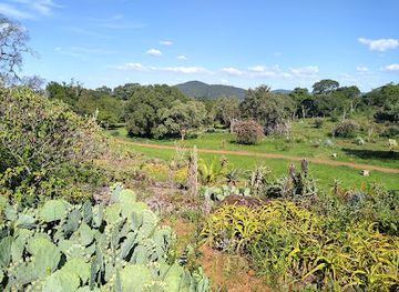 zimbabwe/bvumba-botanical-gardens/landmark/ewanrigg-garden