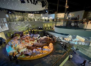 denmark/the-south-funen-archipelago/landmark/naturama