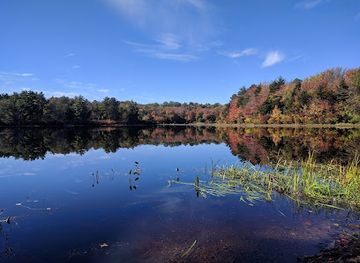 massachusetts/new-bedford/landmark/acushnet-cedar-swamp-state-reservation