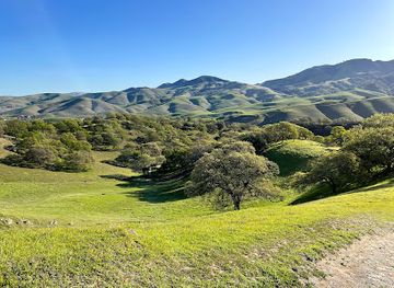 california/walnut-creek/landmark/castle-rock-regional-recreation-area