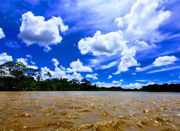ecuador/amazon/landmark/amazoonico