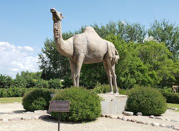canada/prairies/landmark/sara-the-camel