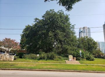 texas/austin/landmark/treaty-oak