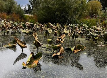 oregon/klamath-basin/landmark/wood-river
