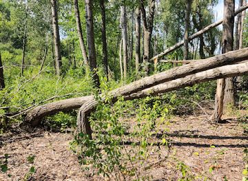 wisconsin/ice-age-trail/landmark/ice-age-trail-blackhawk-segment