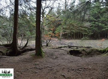 belgium/ardennes-mountains/landmark/ardennes-experience