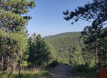 south-dakota/black-hills-national-forest/landmark/wonderland-cave