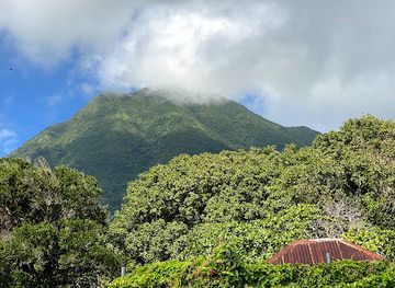 saint-kitts-and-nevis/botanical-gardens-of-nevis/landmark/funky-monkey-tours