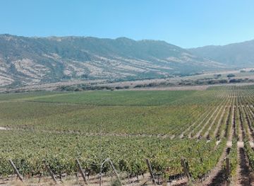 chile/colchagua-valley/landmark/colchagua-museum