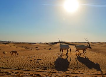 united-arab-emirates/dubai-desert-conservation-reserve/landmark/dubai-desert-conservacion