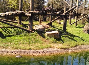 alabama/river-region/landmark/mann-wildlife-learning-museum