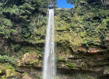 mexico/chiapas/landmark/misol-ha