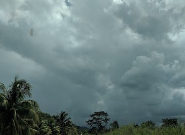 belize/caracol/landmark/kin-winik-jungle-tours