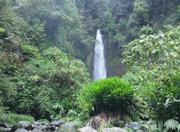costa-rica/turrialba-valley/landmark/catarata-las-trillizas-reception