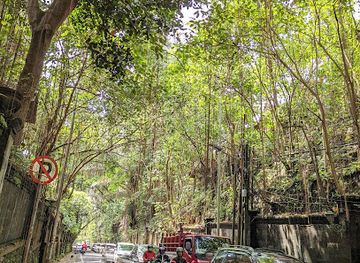 indonesia/ubud/landmark/green-tunnel-ubud-main-street