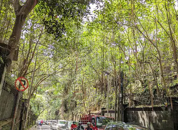 Green Tunnel - Ubud Main Street