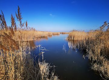austria/neusiedler-see/landmark/birdwatching-viewpoint