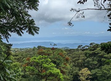 costa-rica/monteverde-cloud-forest-biological-reserve/landmark/curi-cancha-reserve